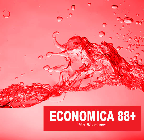 PUMA Económica 88+